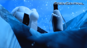 What's in the snowballs that make them blow up penguins like that?