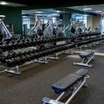 free-weights-in-the-gym