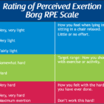 Borg-scale-1