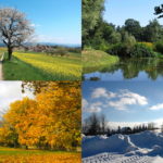 four seasons