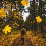 Man Falling Leaves Autumn Colorful Fall Walking