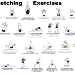 whole-body-stretching-routine