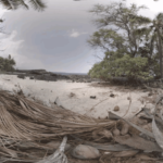 Coconut Island Satori Sounds VR