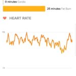 Nothin But Net Fitbit Data 2