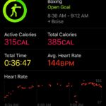 shane-creed-rise-to-glory-stats