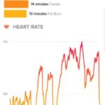 budget workout 1 vr heart rate zones