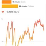 budget workout 2 vr heart rate zones