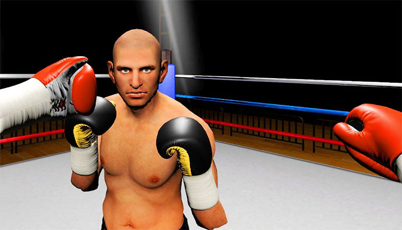 boxing VR fitness game