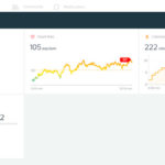 Ironlights-FitBit-Stats