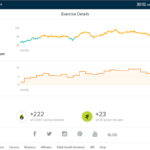 Ironlights-FitBit-Stats2