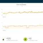 Fitbit – Carve Snowboarding