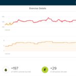 Fitbit – VZFit Exerboard